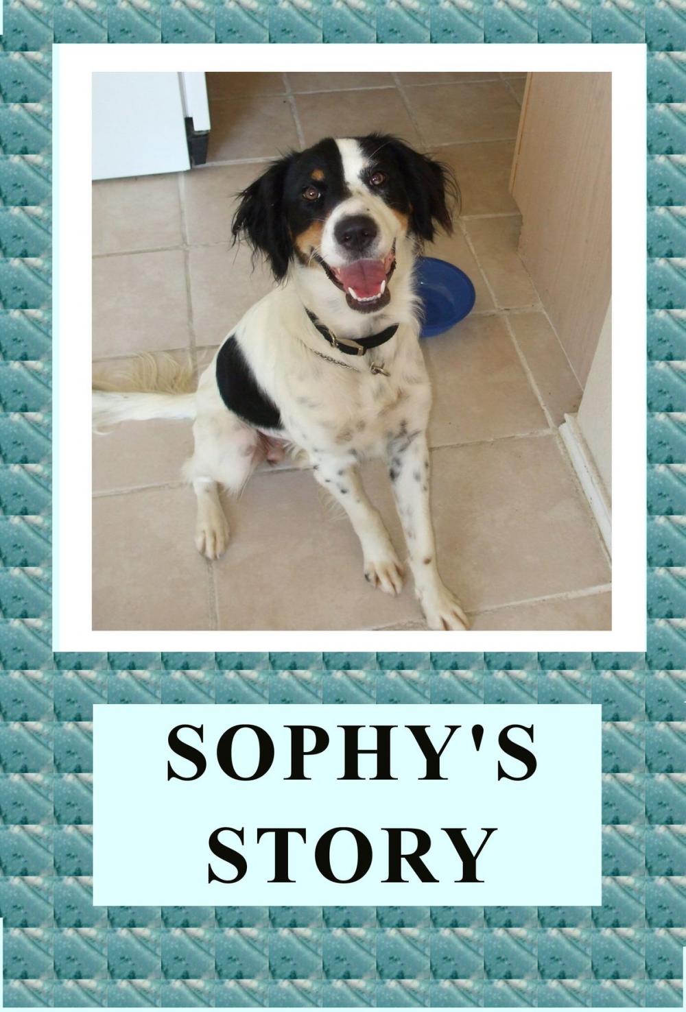 Big bigCover of Sophy's Story