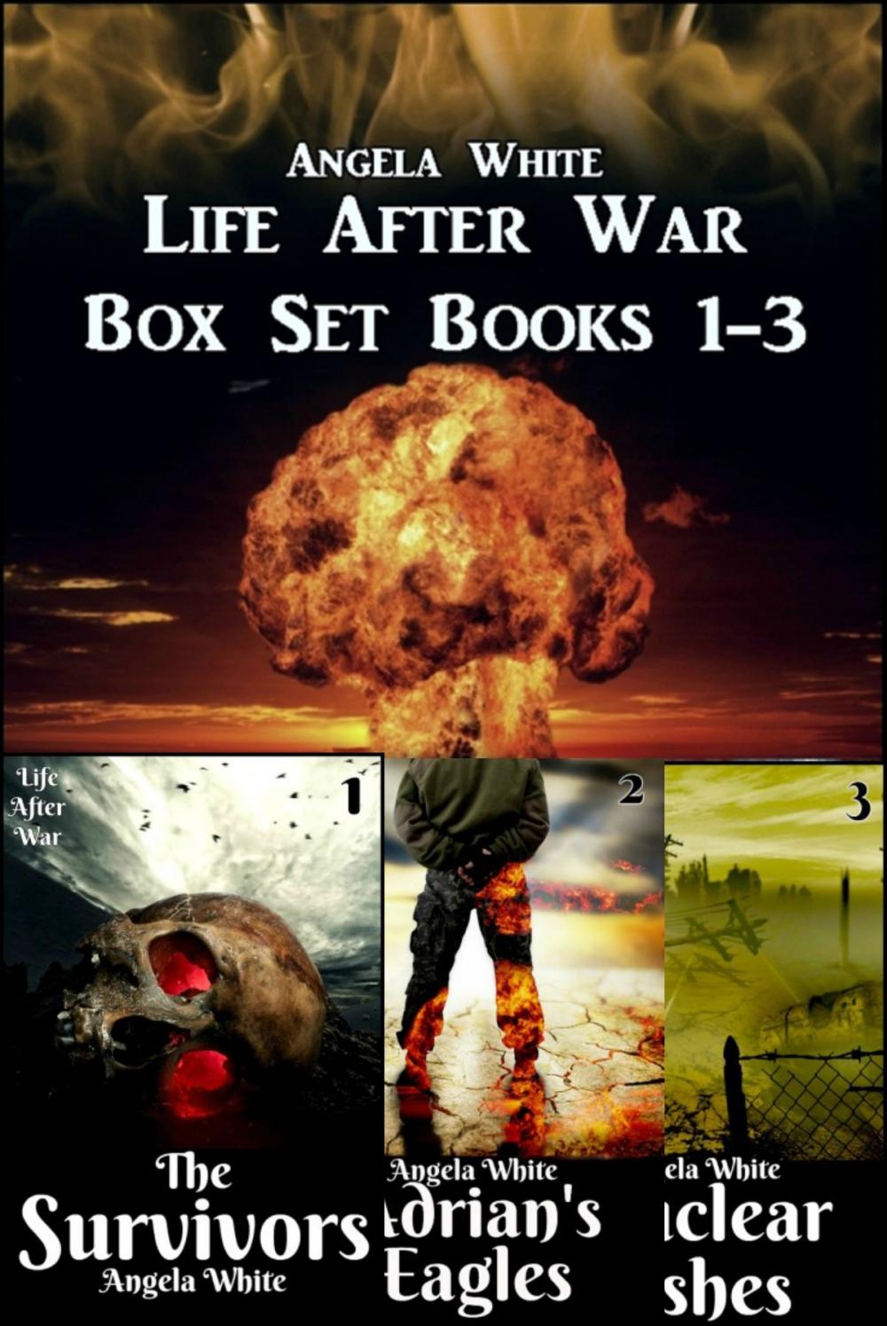 Big bigCover of Life After War Box Set 1-3