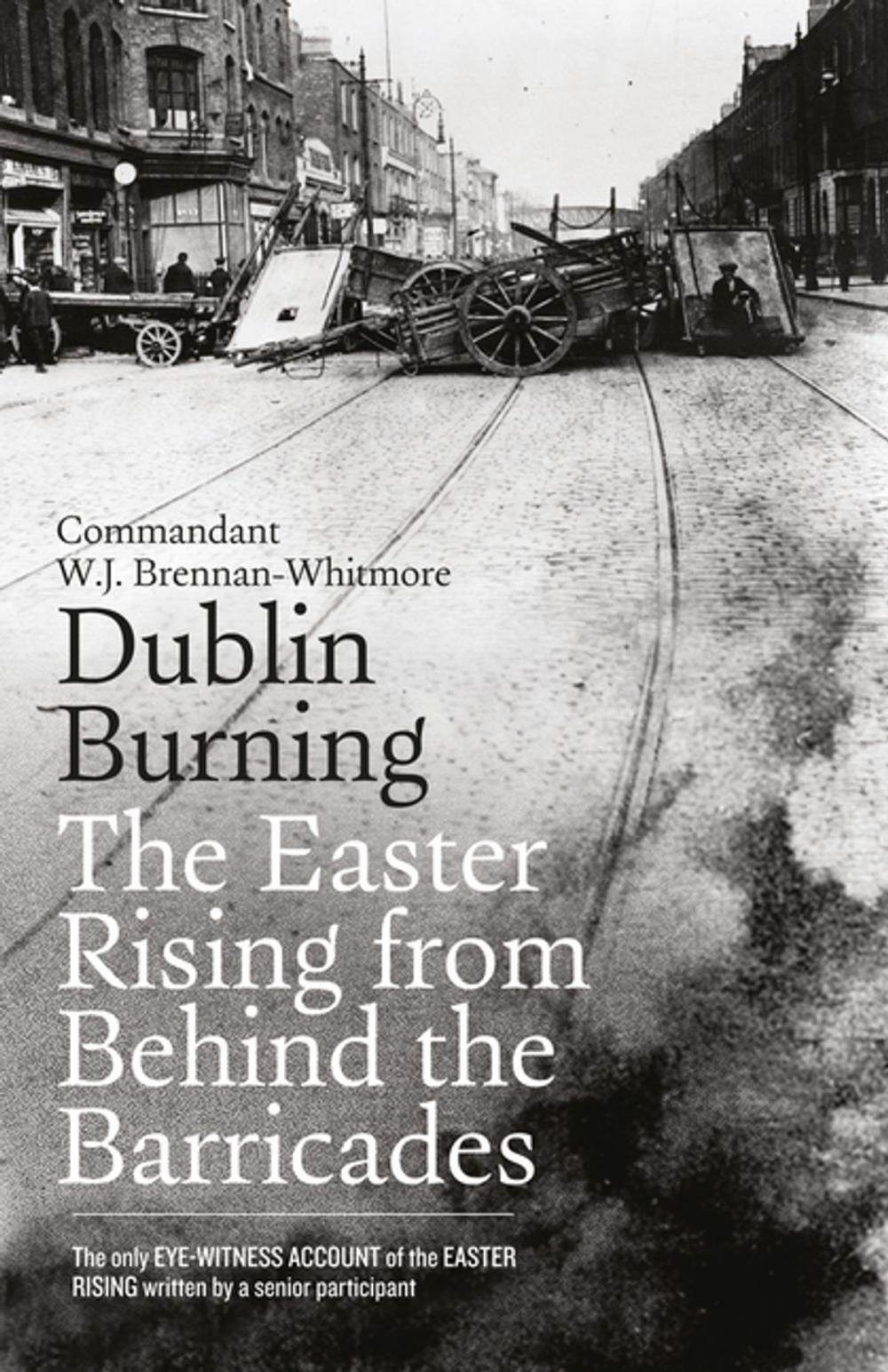 Big bigCover of Dublin Burning: The Easter Rising From Behind the Barricades