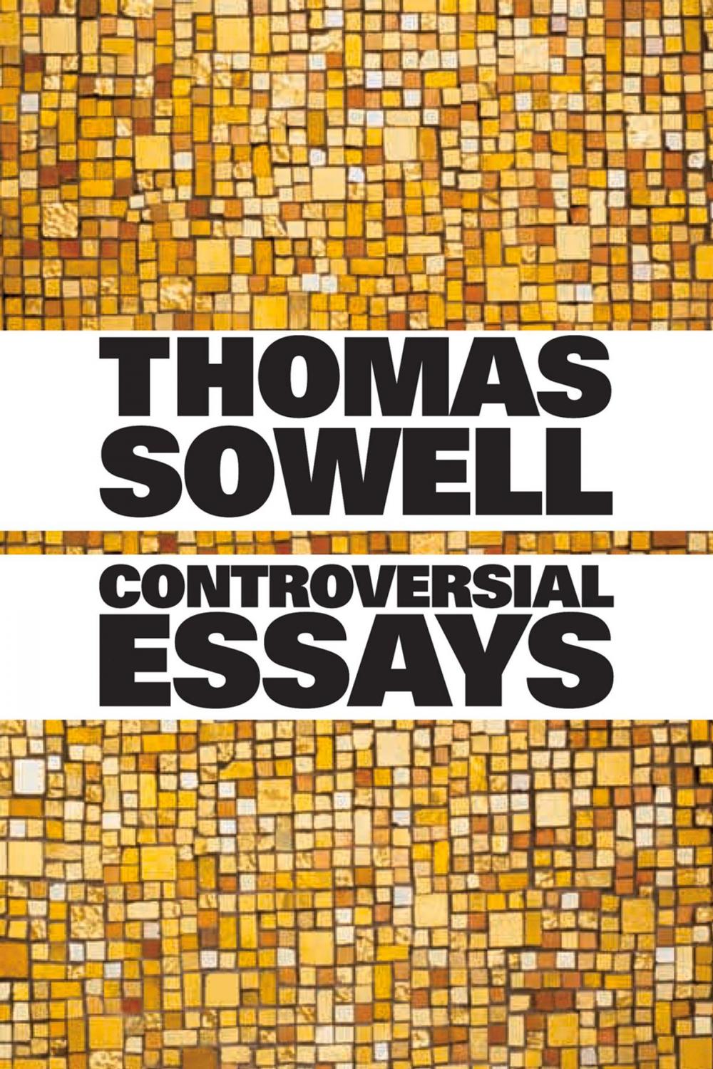 Big bigCover of Controversial Essays