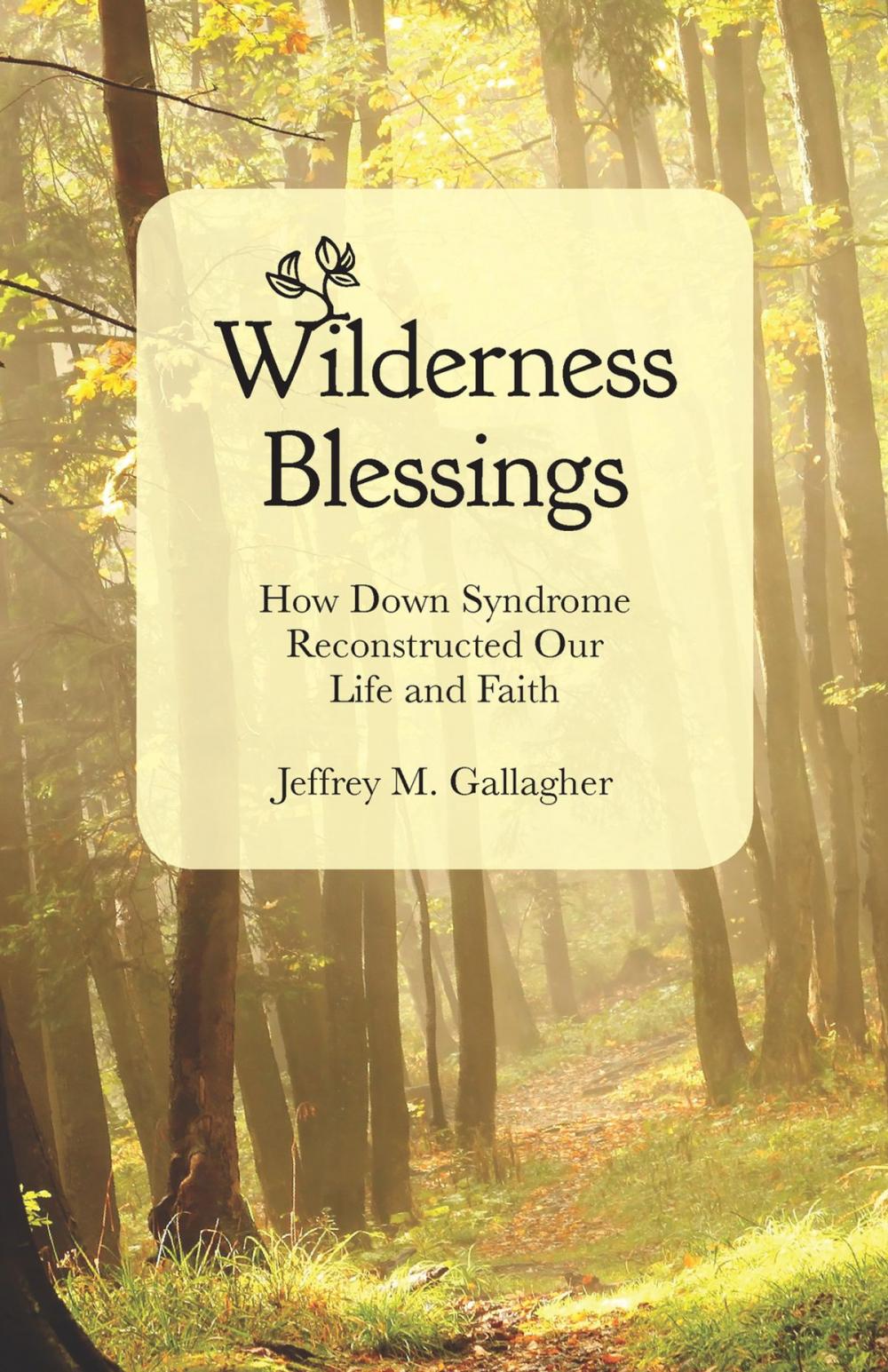 Big bigCover of Wilderness Blessings