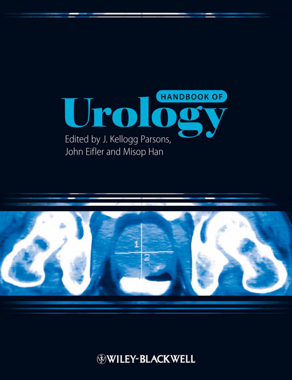 Big bigCover of Handbook of Urology