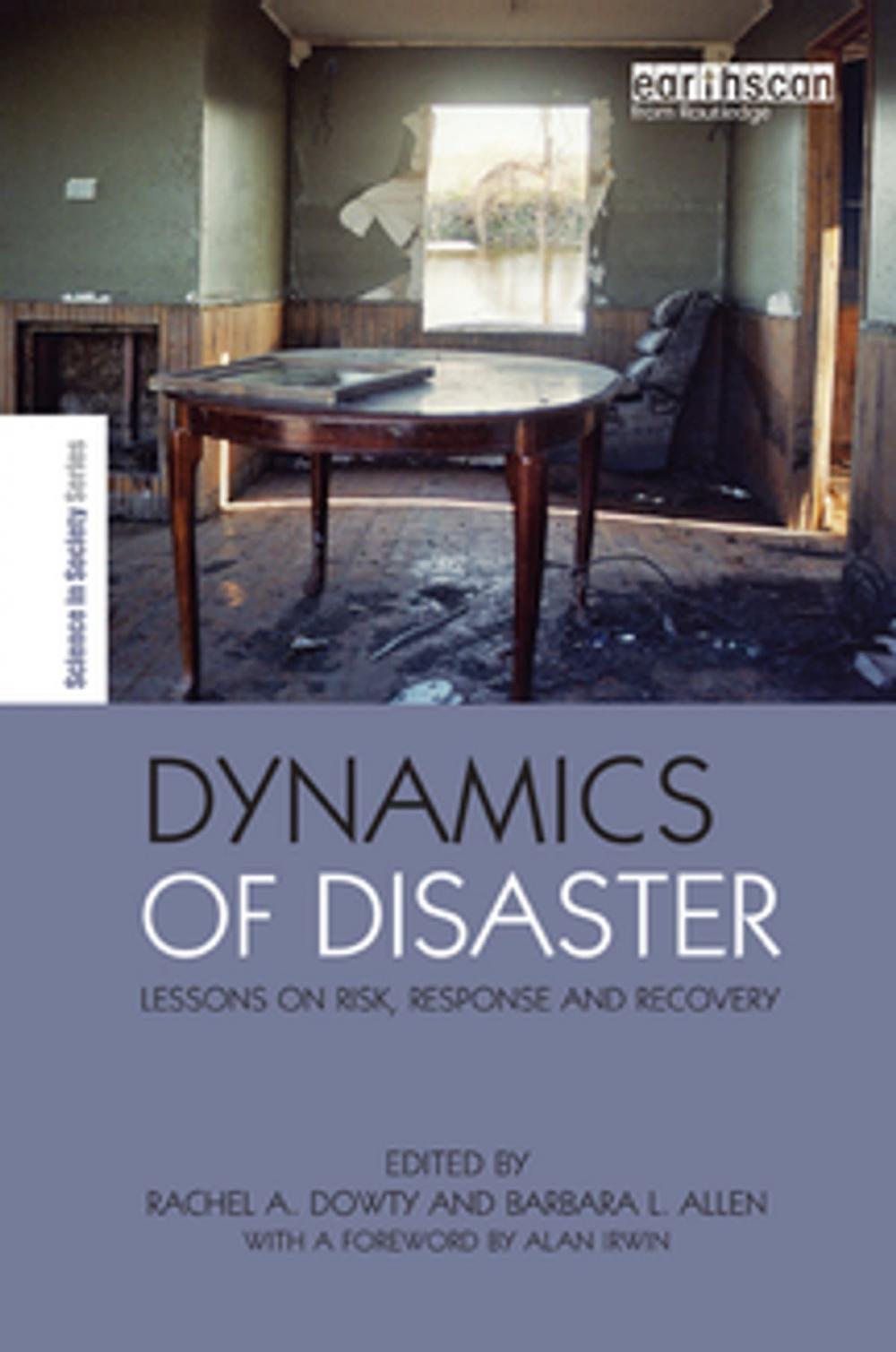 Big bigCover of Dynamics of Disaster