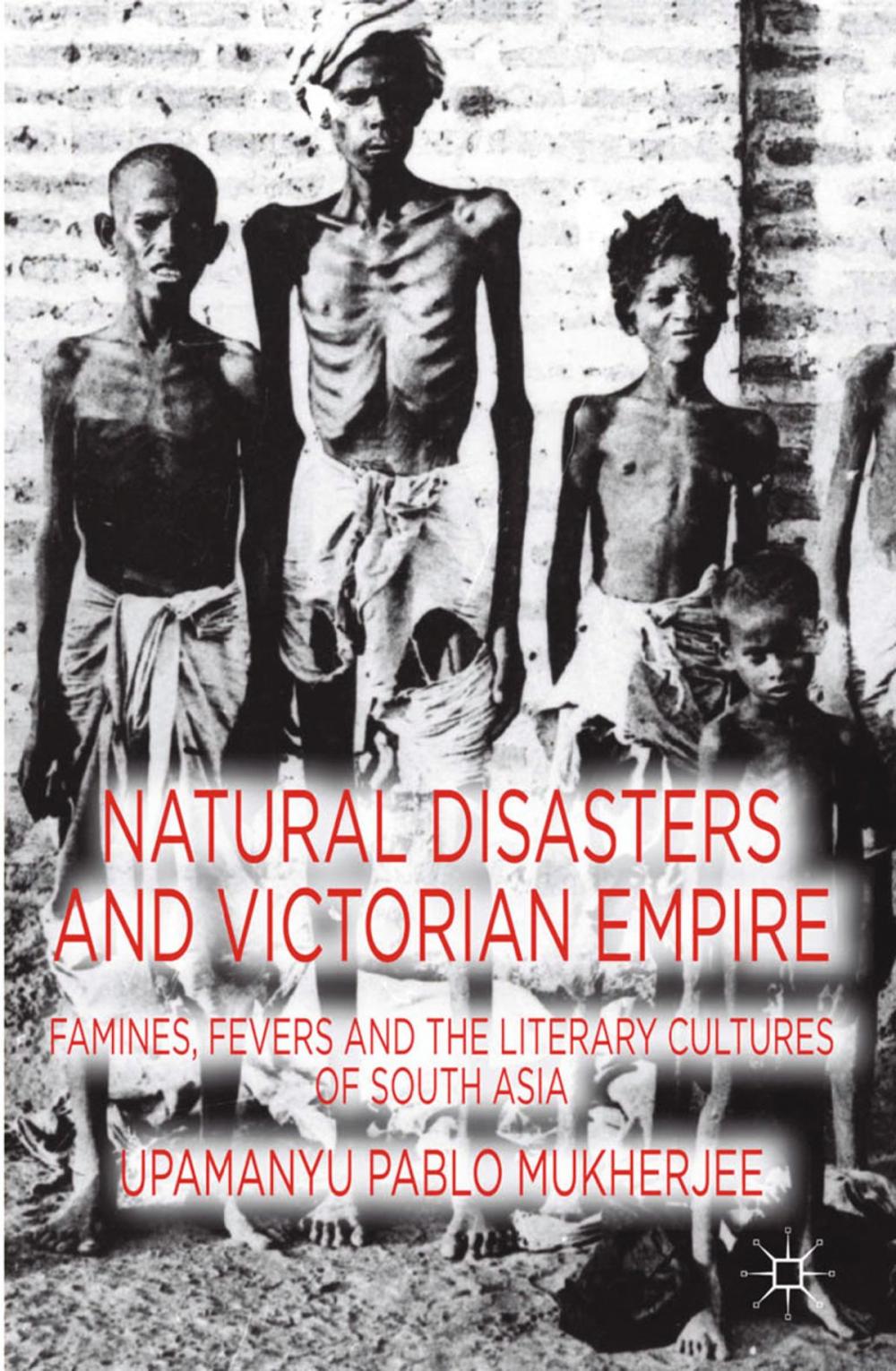 Big bigCover of Natural Disasters and Victorian Empire