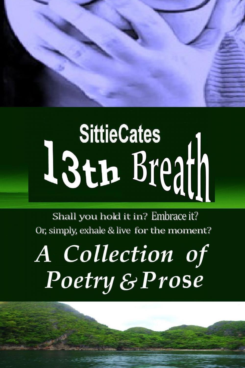 Big bigCover of 13th Breath: A Collection of Poetry & Prose