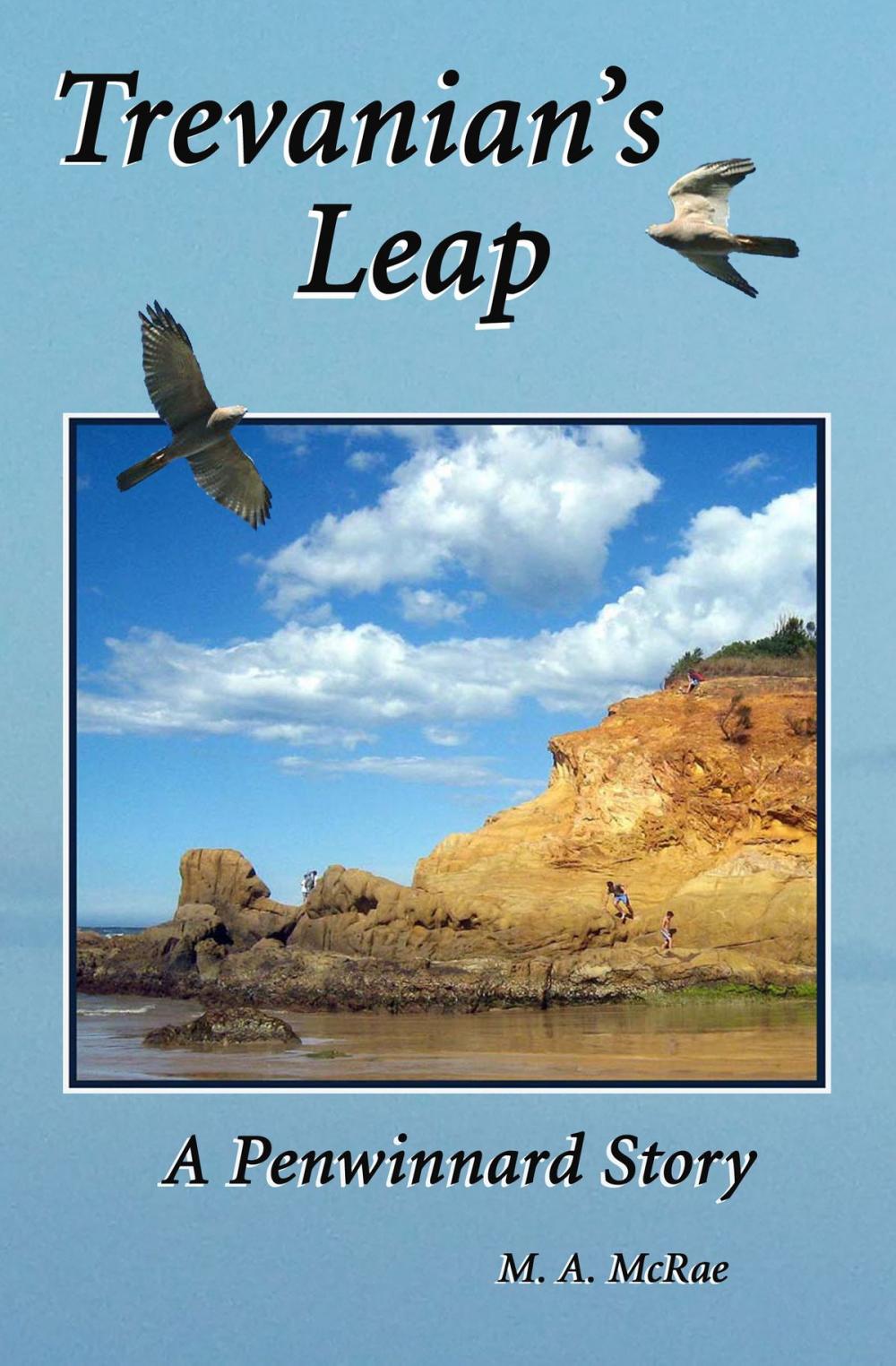 Big bigCover of Trevanian's Leap