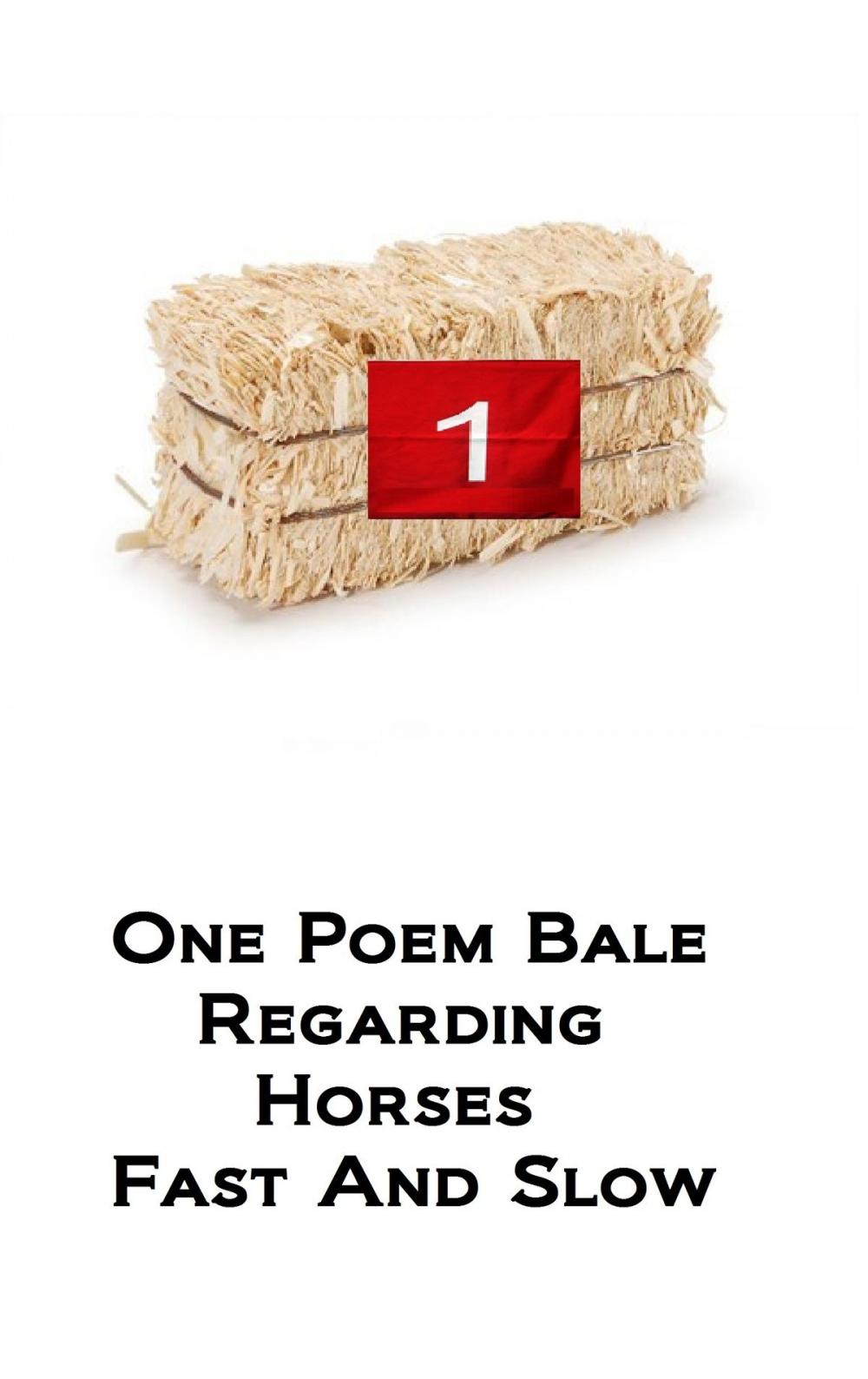 Big bigCover of One Poem Bale Regarding Horses Fast and Slow