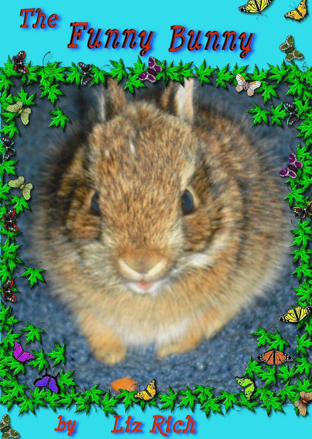 Big bigCover of The Funny Bunny