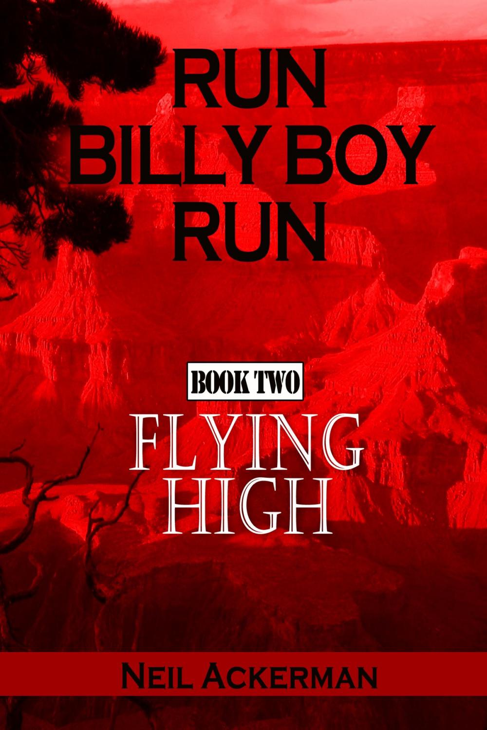 Big bigCover of Run Billy Boy Run, Book Two: Flying High