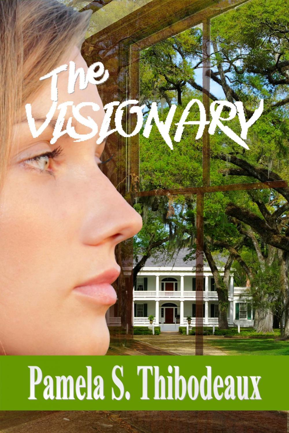 Big bigCover of The Visionary