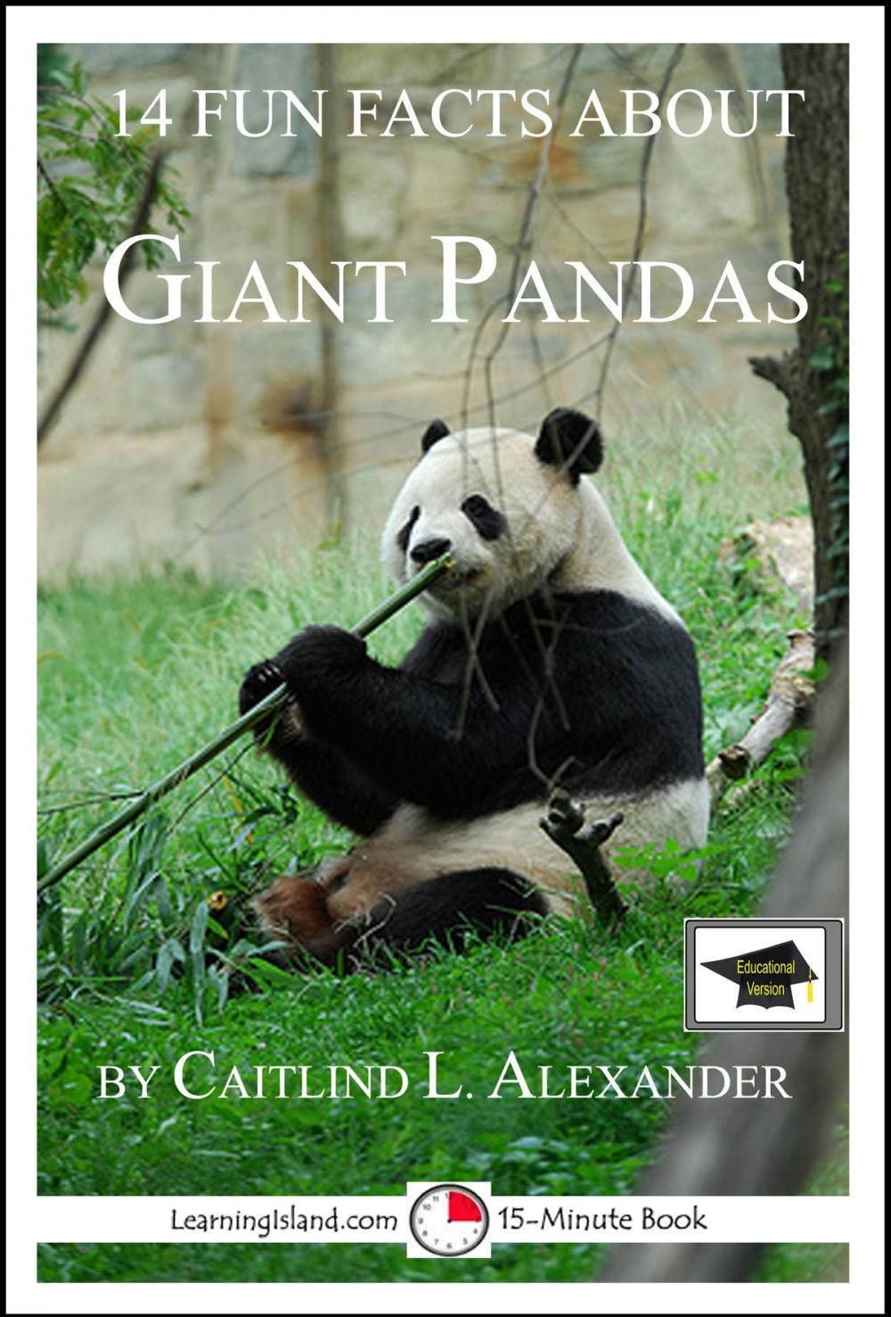 Big bigCover of 14 Fun Facts About Giant Pandas: Educational Versions