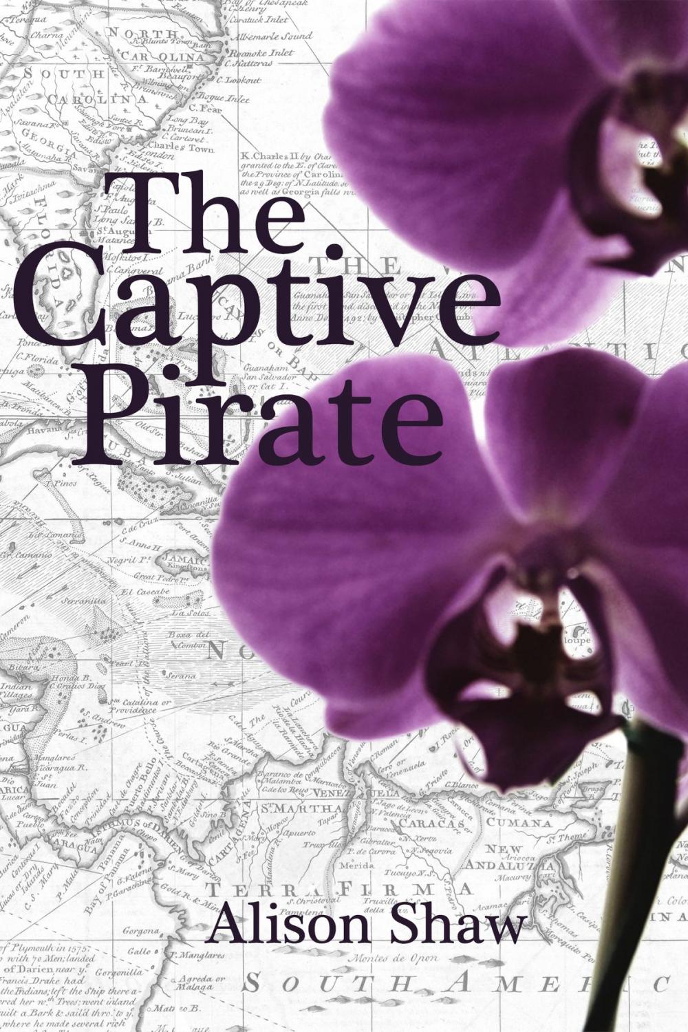 Big bigCover of The Captive Pirate