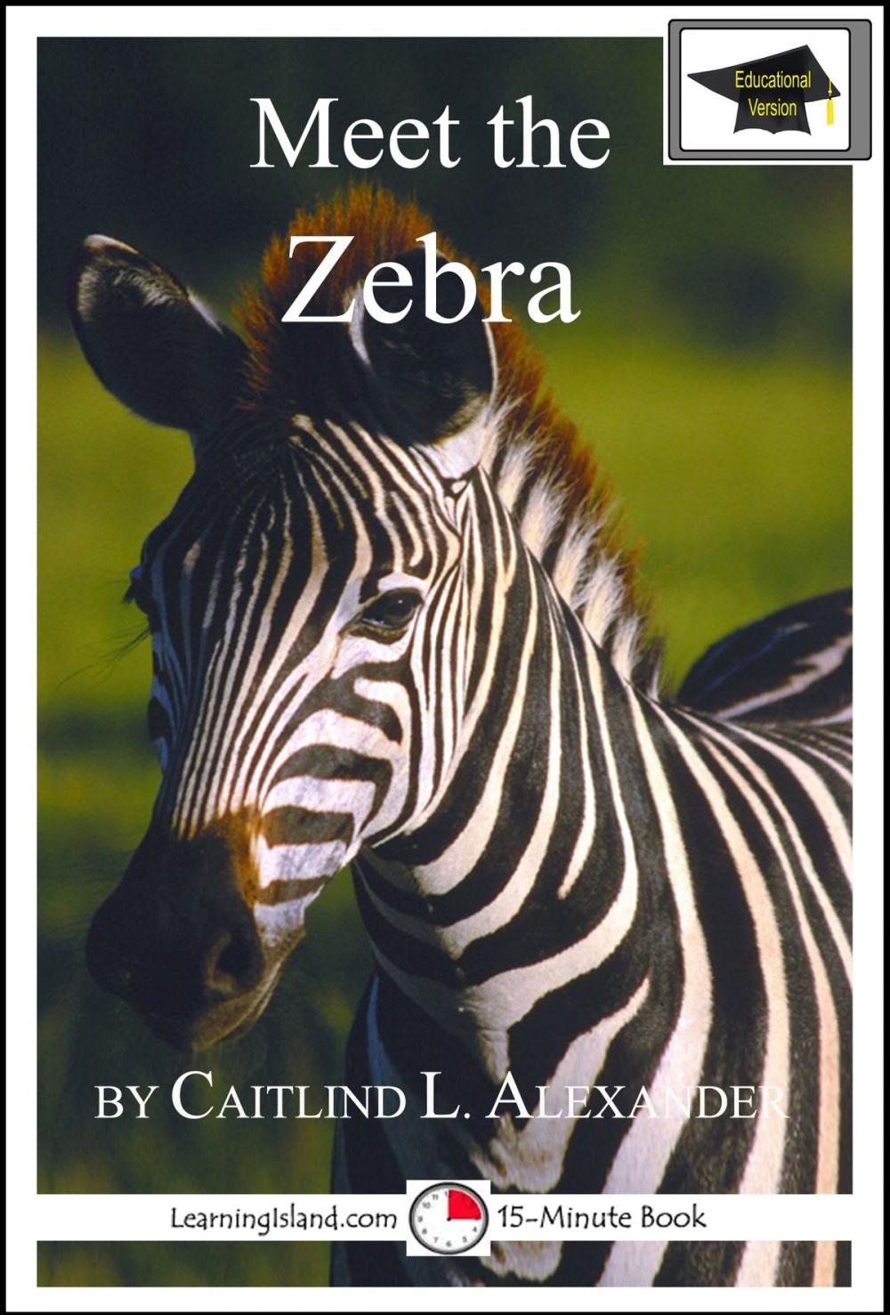 Big bigCover of Meet the Zebra: Educational Version