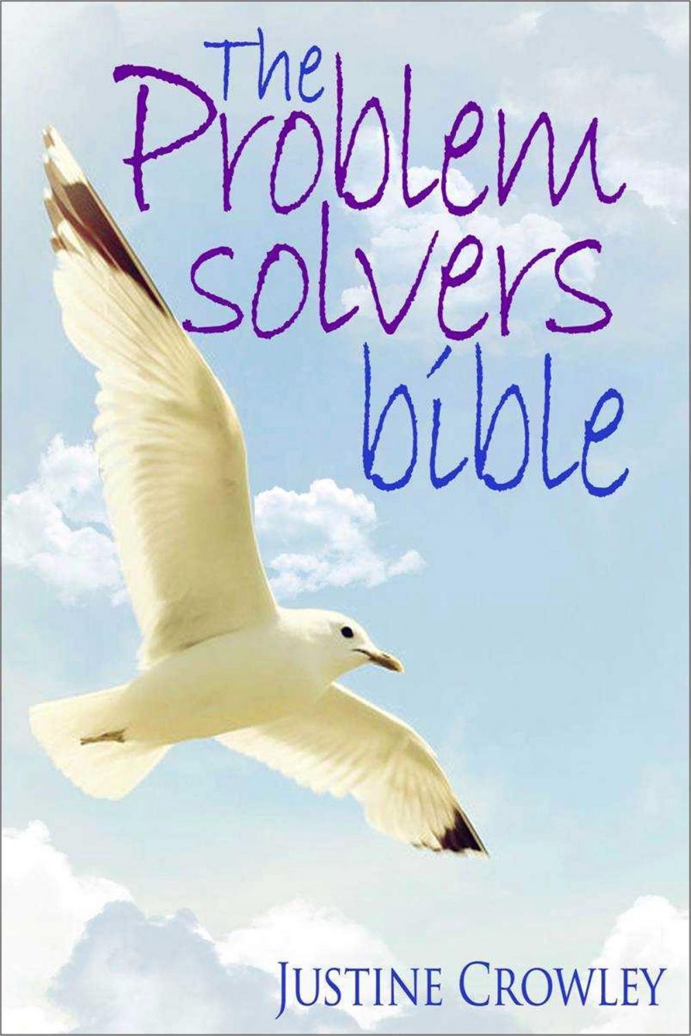 Big bigCover of The Problem Solvers Bible