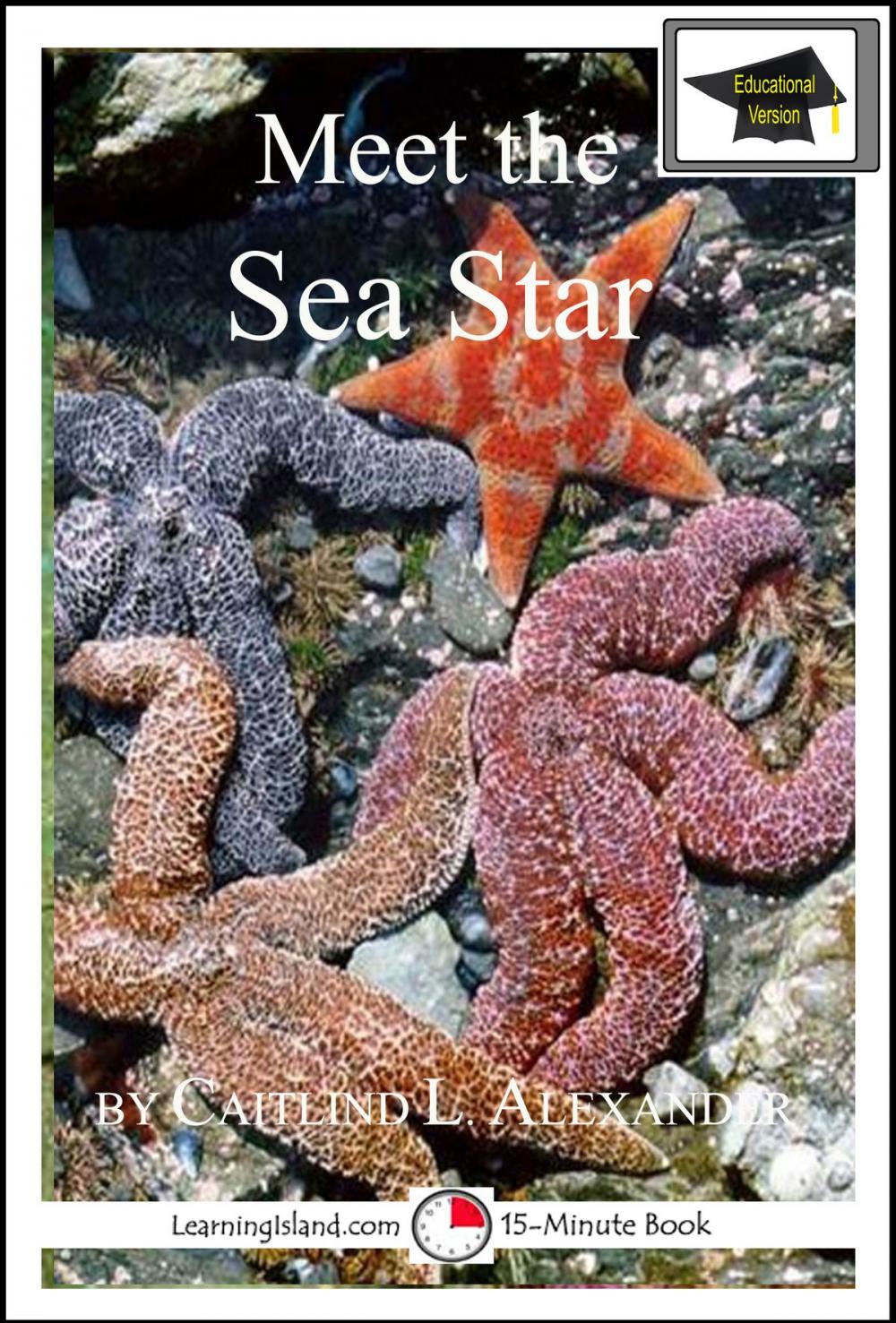Big bigCover of Meet the Sea Star: Educational Version