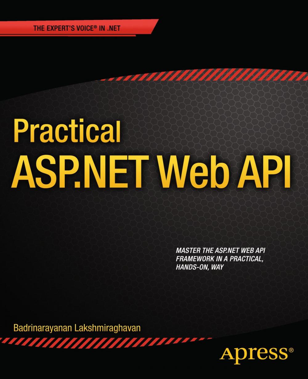 Big bigCover of Practical ASP.NET Web API