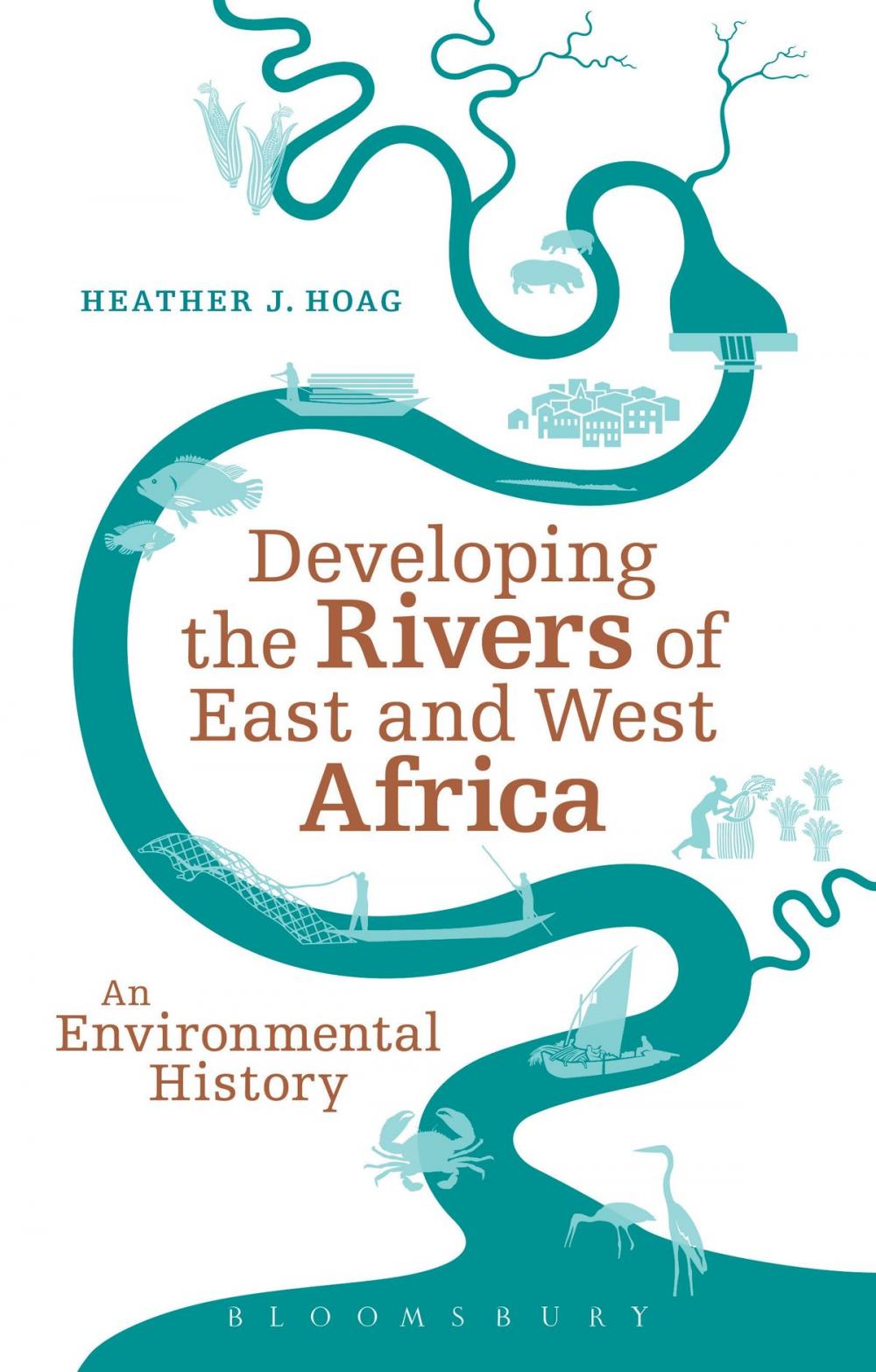 Big bigCover of Developing the Rivers of East and West Africa