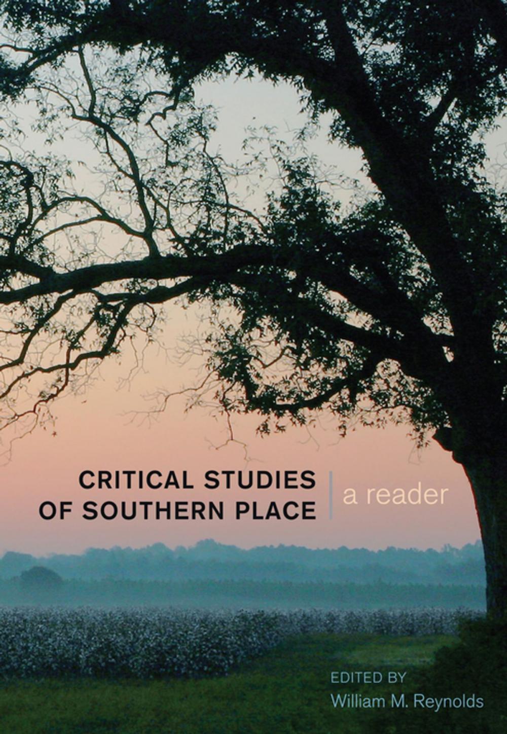 Big bigCover of Critical Studies of Southern Place