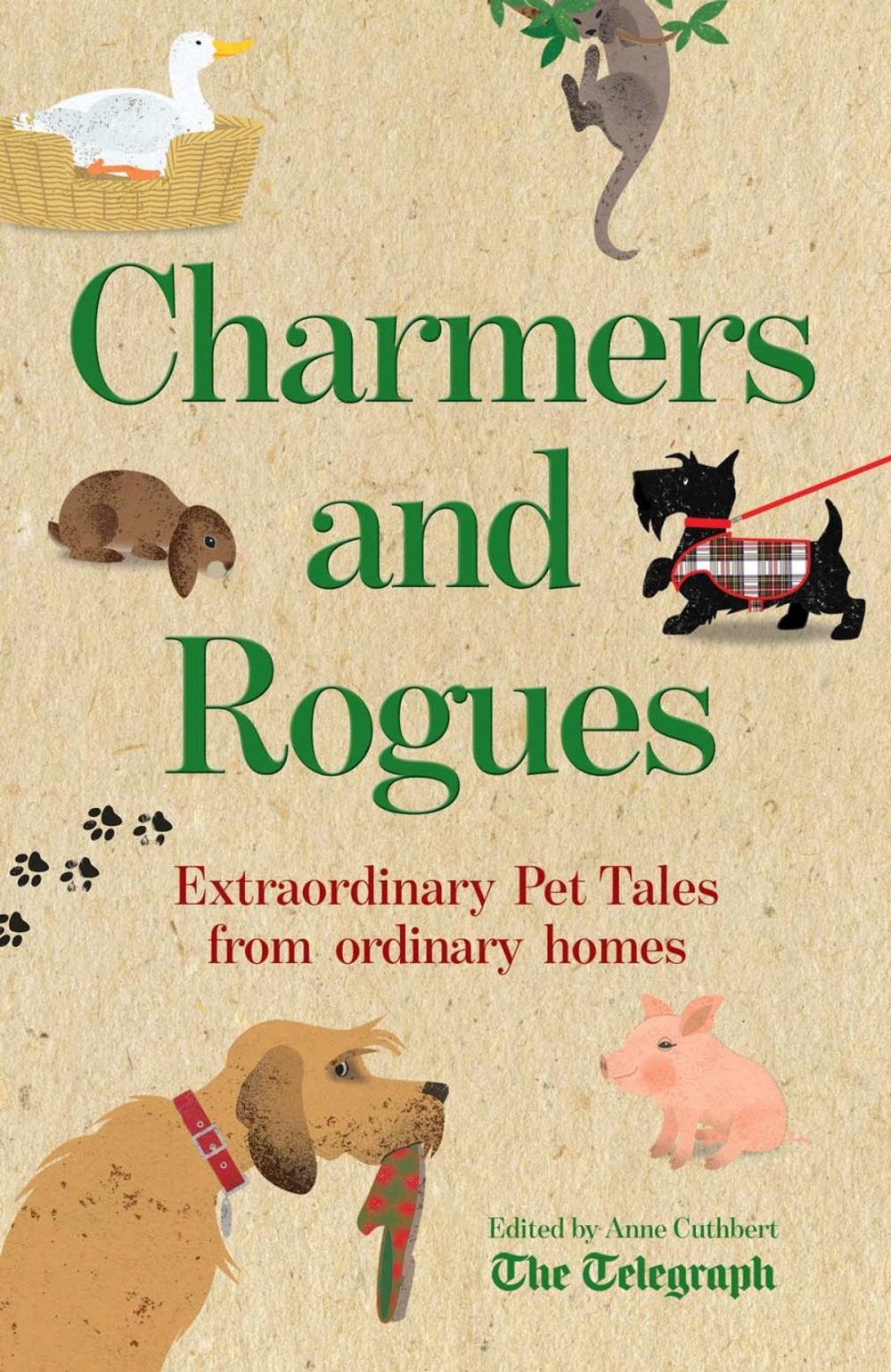 Big bigCover of Charmers and Rogues