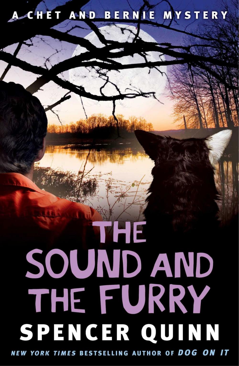 Big bigCover of The Sound and the Furry