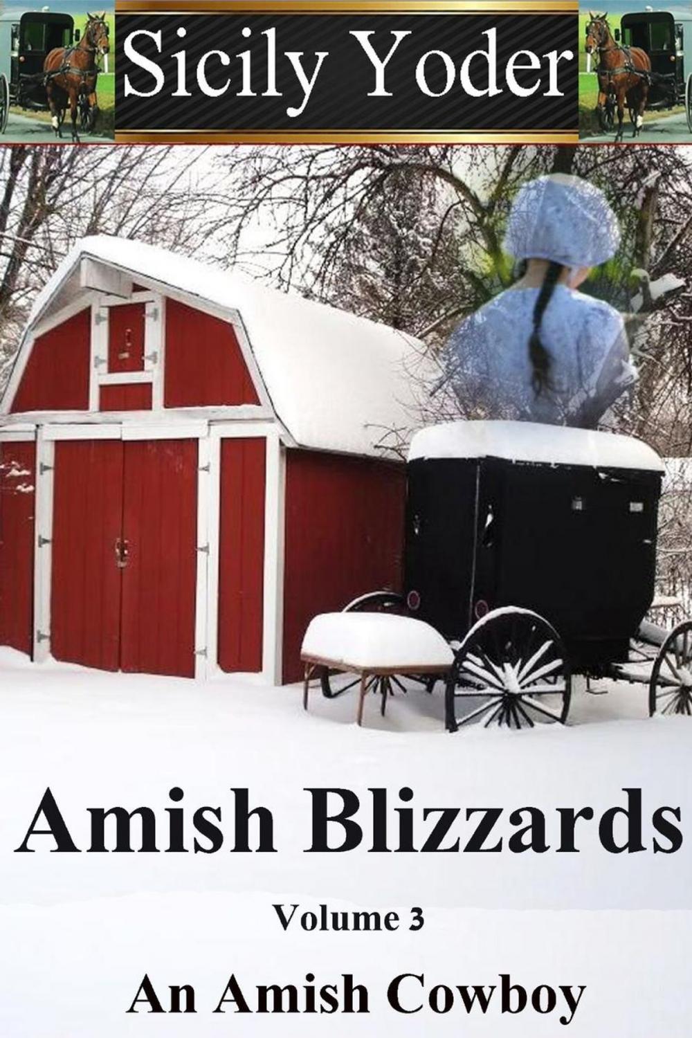 Big bigCover of Amish Blizzards: Volume Three: An Amish Cowboy