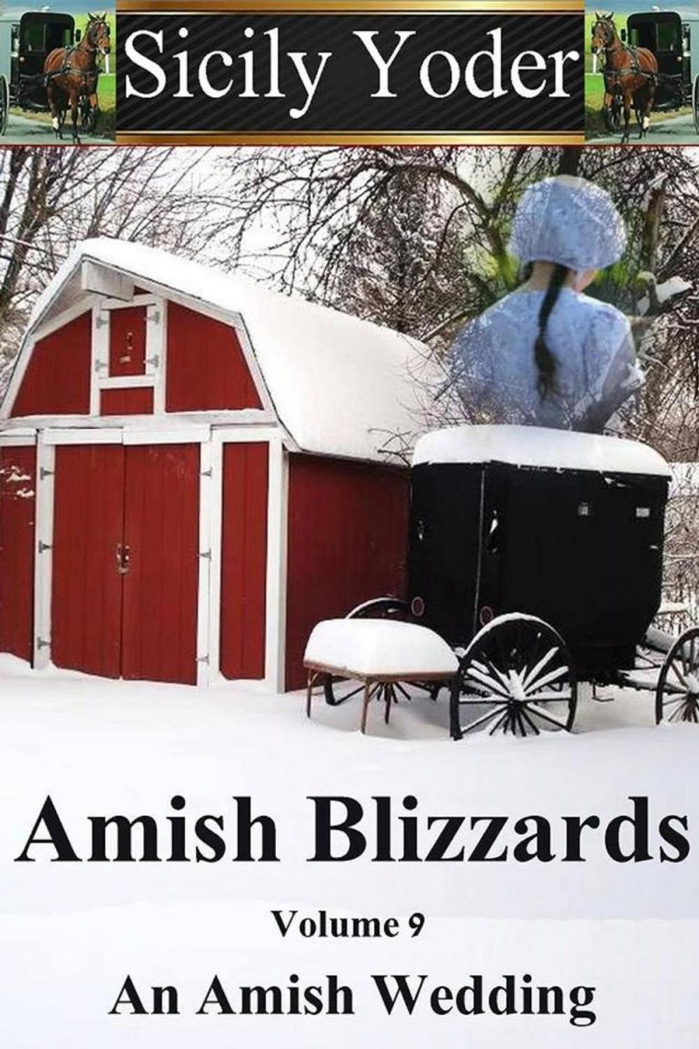 Big bigCover of Amish Blizzards: Volume Nine