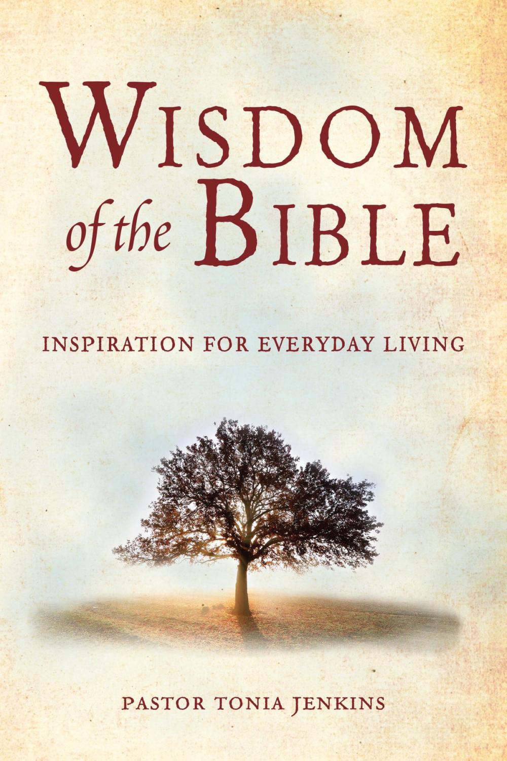 Big bigCover of Wisdom of the Bible