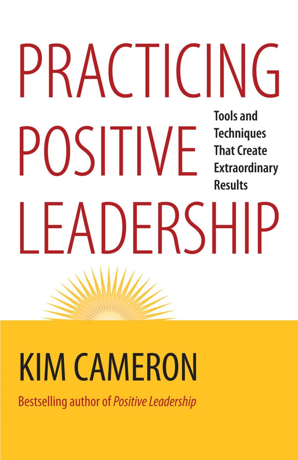 Big bigCover of Practicing Positive Leadership