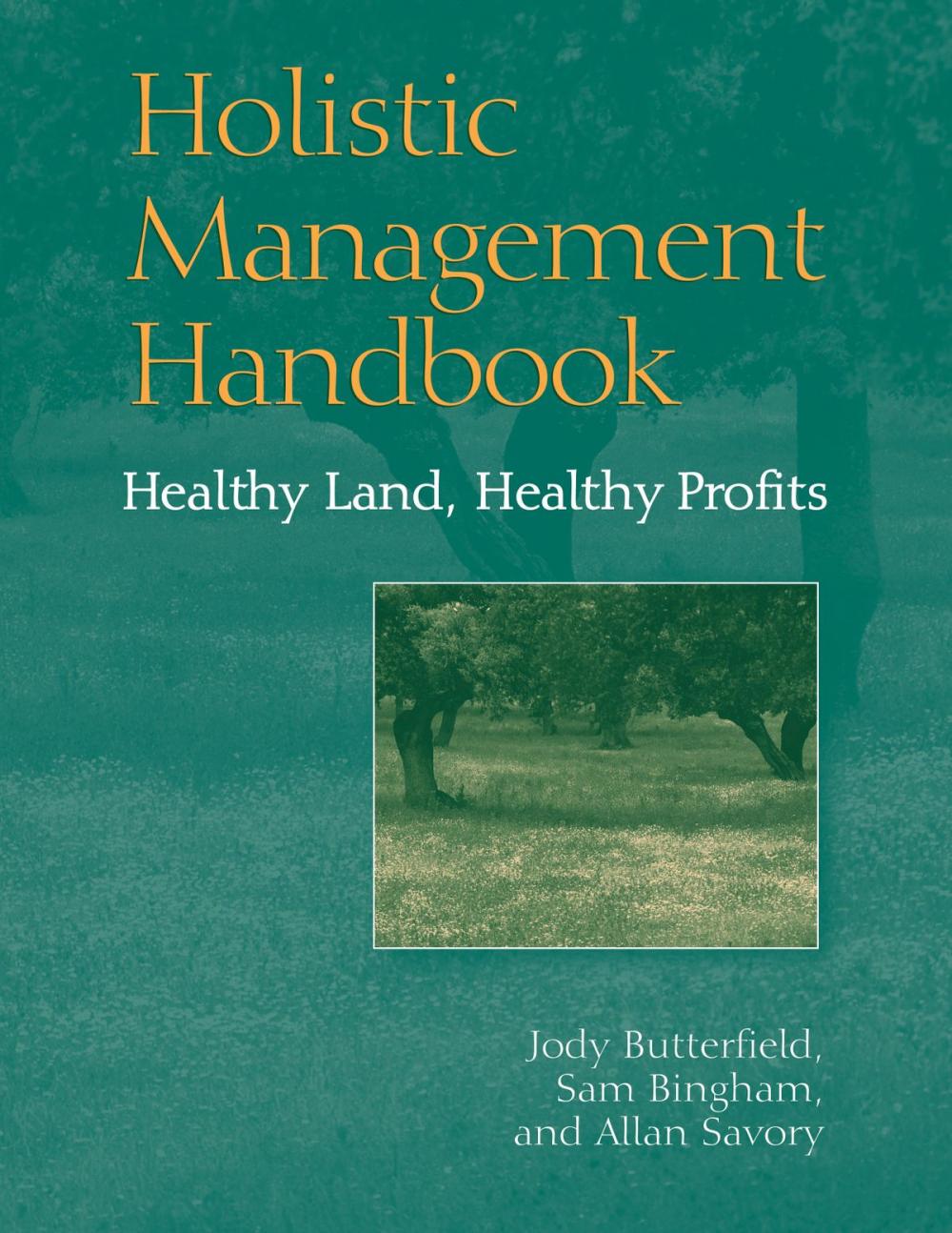 Big bigCover of Holistic Management Handbook