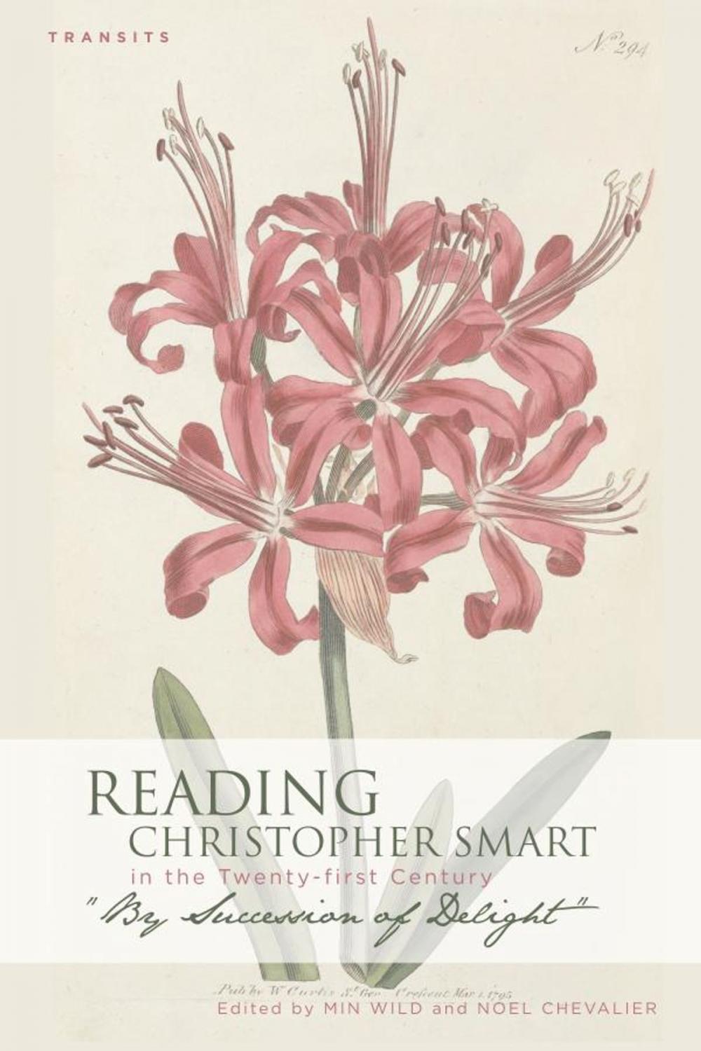 Big bigCover of Reading Christopher Smart in the Twenty-first Century
