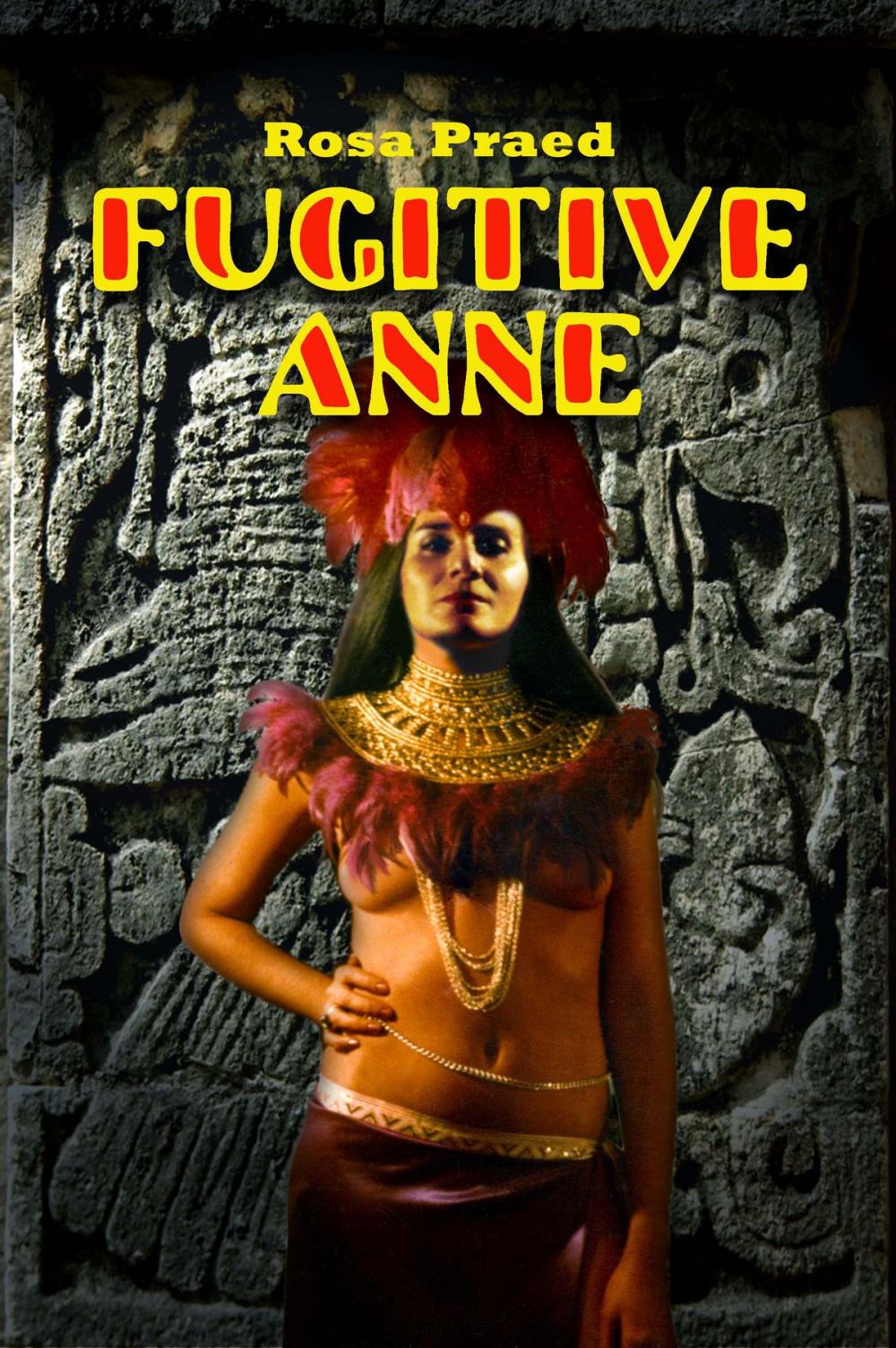 Big bigCover of Fugitive Anne