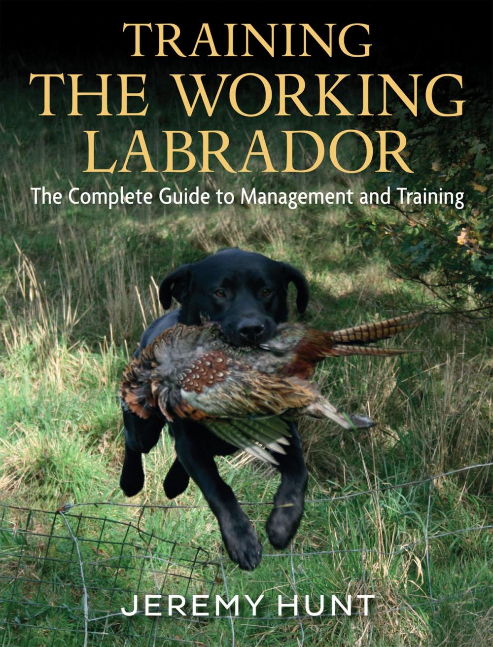 Big bigCover of Training The Working Labrador