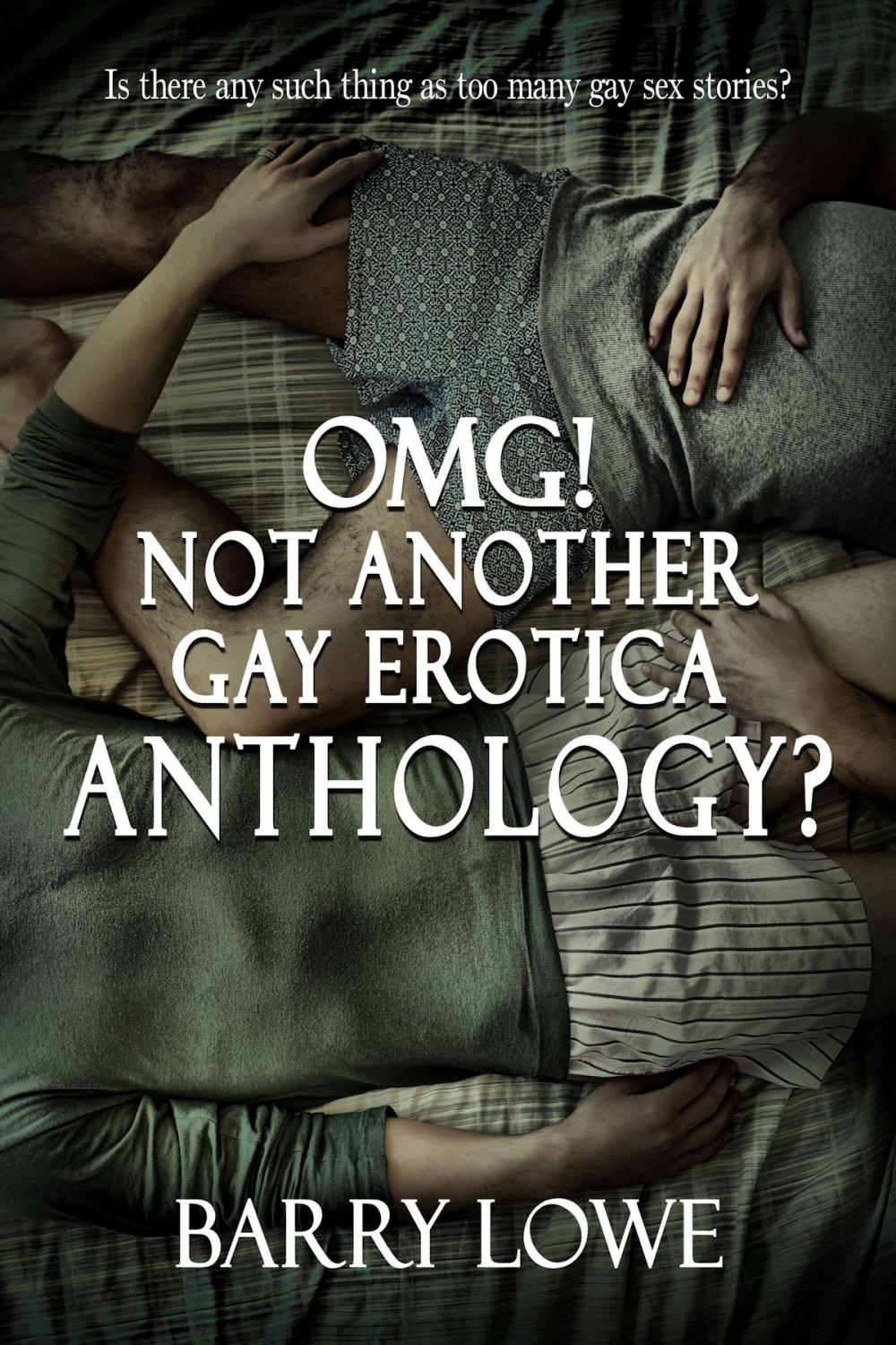 Big bigCover of Omg! Not Another Gay Erotica Anthology?
