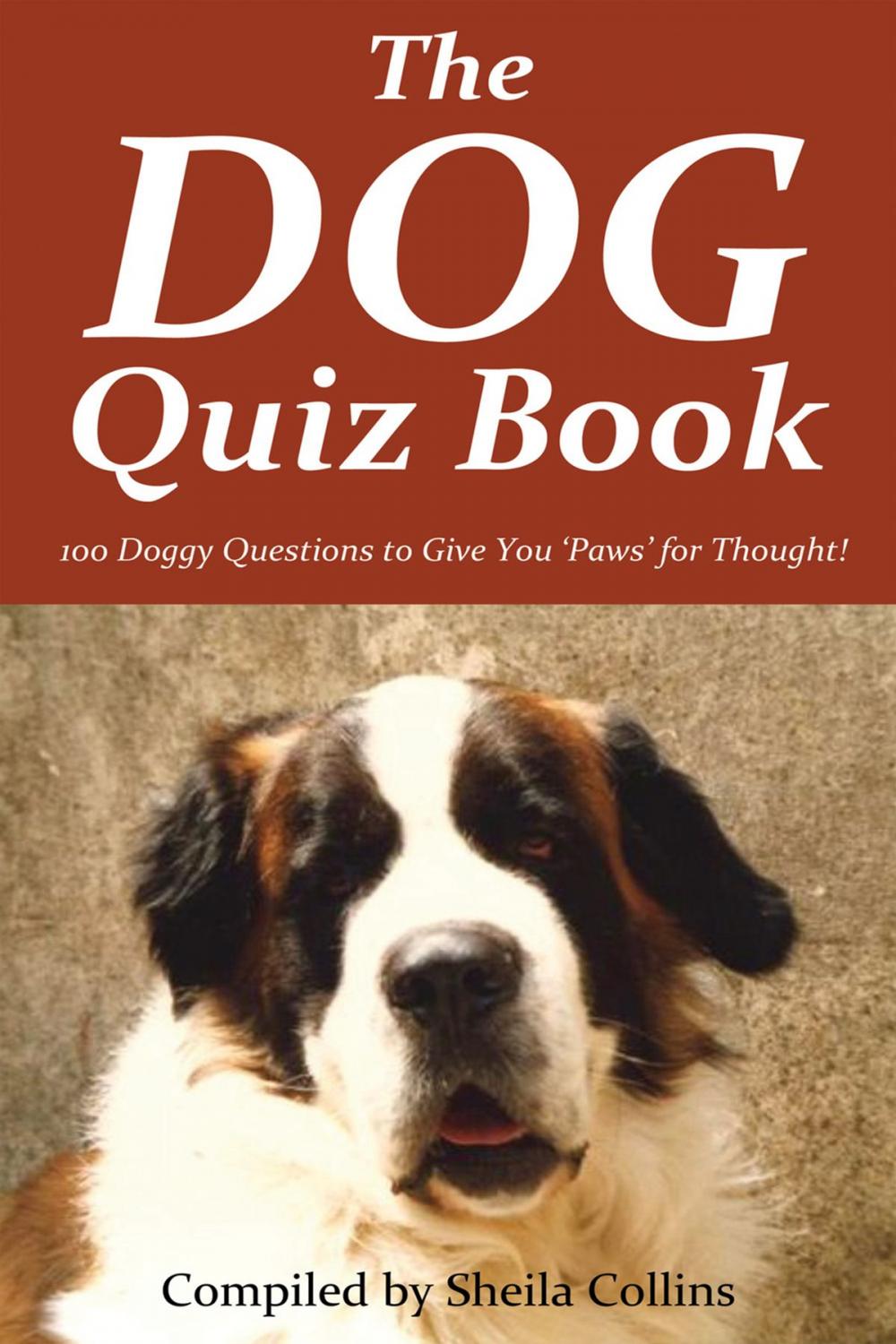 Big bigCover of The Dog Quiz Book