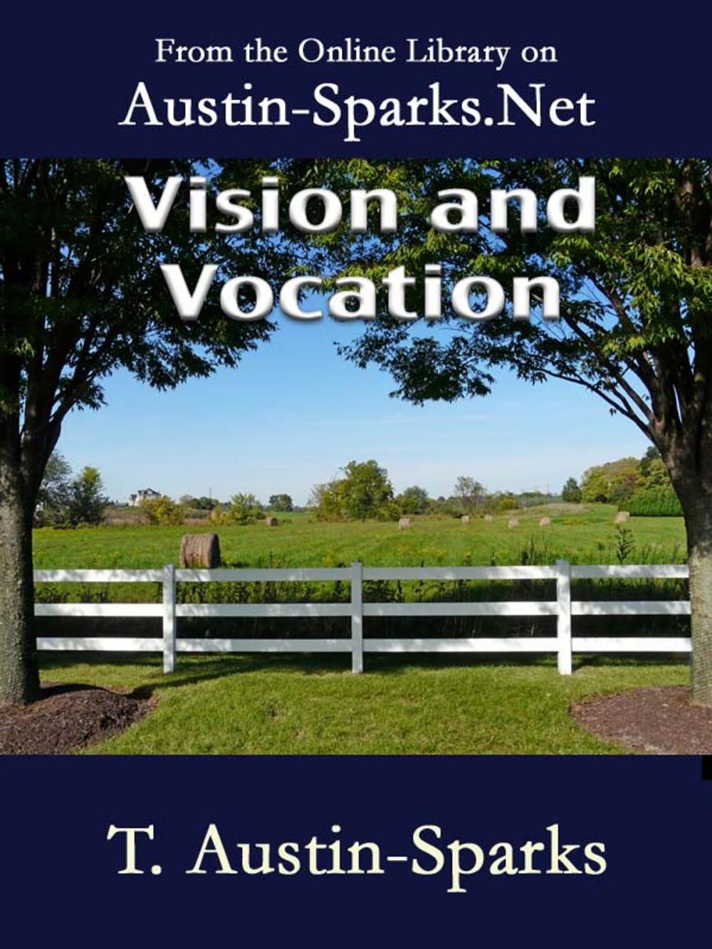 Big bigCover of Vision and Vocation