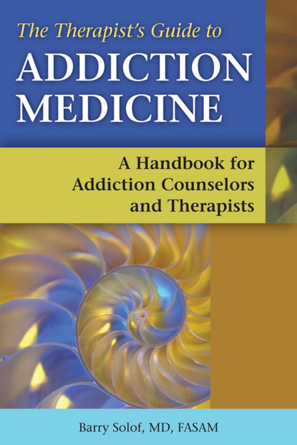 Big bigCover of The Therapist's Guide to Addiction Medicine