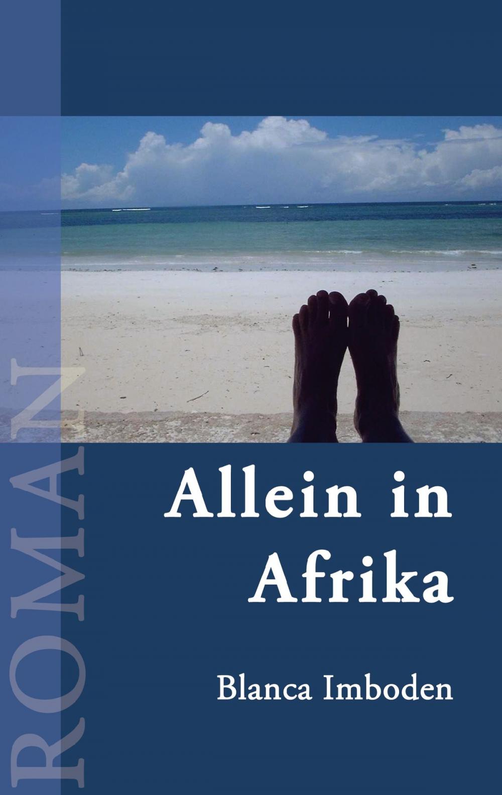 Big bigCover of Allein in Afrika