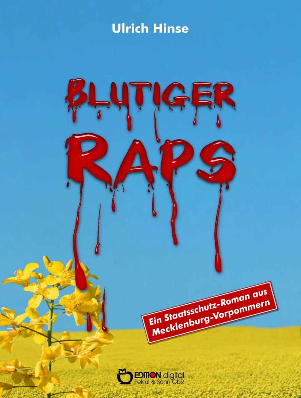 Big bigCover of Blutiger Raps