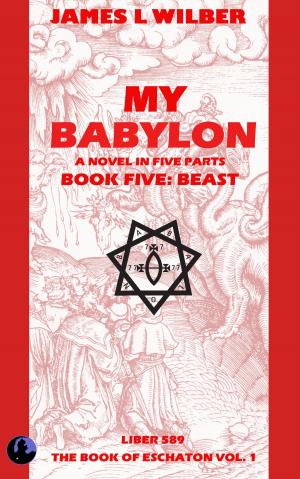 Cover of the book My Babylon by Bill Nagelkerke
