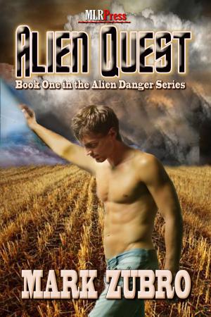 Cover of the book Alien Quest by Stacey Jay