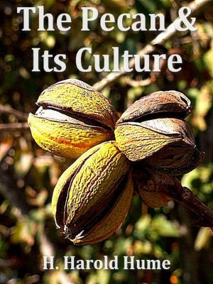 Cover of the book The Pecan and its Culture by 