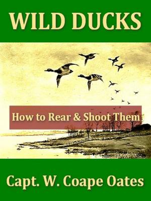 bigCover of the book Wild Ducks, How to Rear and Shoot Them by 