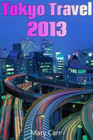 Cover of the book Tokyo Travel 2013 by Chris Sylvester