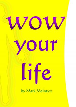 Cover of the book WOW your life by Shoshanah Niselow
