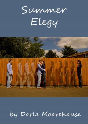 Book cover of Summer Elegy