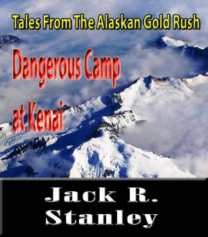 bigCover of the book A Dangerous Camp by 