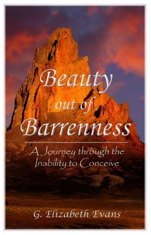 Book cover of Beauty Out of Barrenness