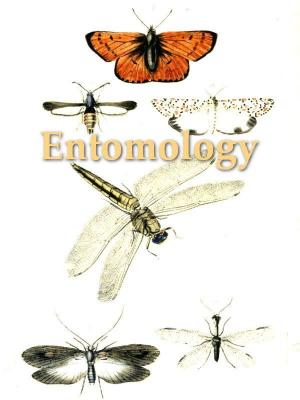 Book cover of An Introduction to Entomology: Or Elements of the Natural History of Insects, Fifth Edition, Volume 3 (of 4)