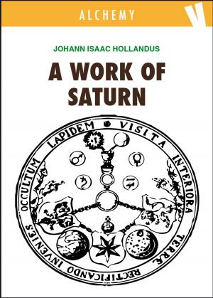Cover of the book A Work of Saturn by Hermes Trismegistus, John Everard