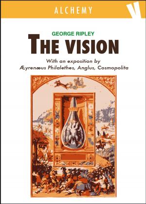 Cover of the book The Vision by Daniele Ricci